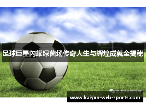 足球巨星闪耀绿茵场传奇人生与辉煌成就全揭秘
